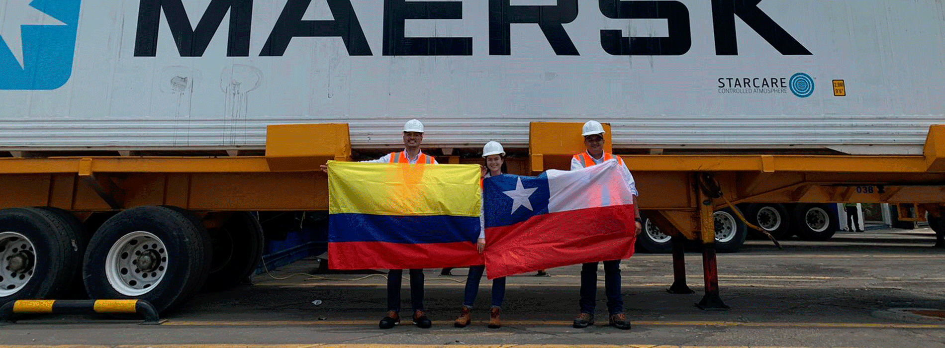 Colombia ya envió sus primeras 22,5 toneladas de aguacate Hass a Chile