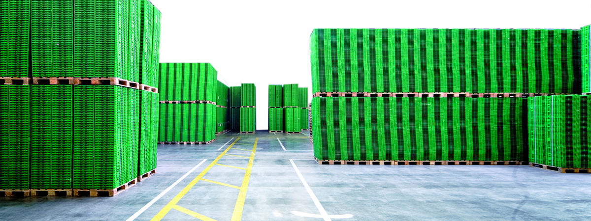 La compañía de origen australiano brinda soluciones punto a punto en la logística de transporte de alimentos.