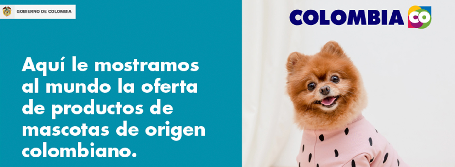 Primer Trade Show de Mascotas, plataforma virtual de negocios para las empresas colombianas