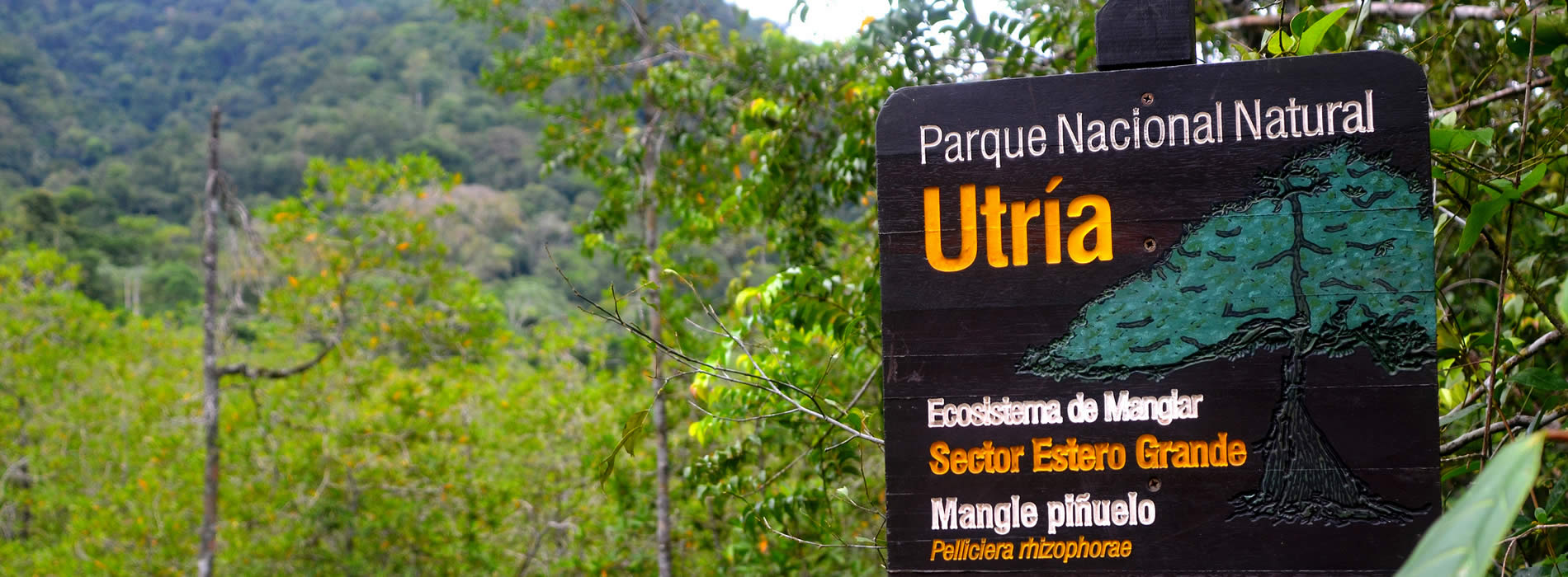 Parque Nacional de Nutria, Chocó